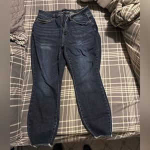Judy Blue Skinny Fit 16W
